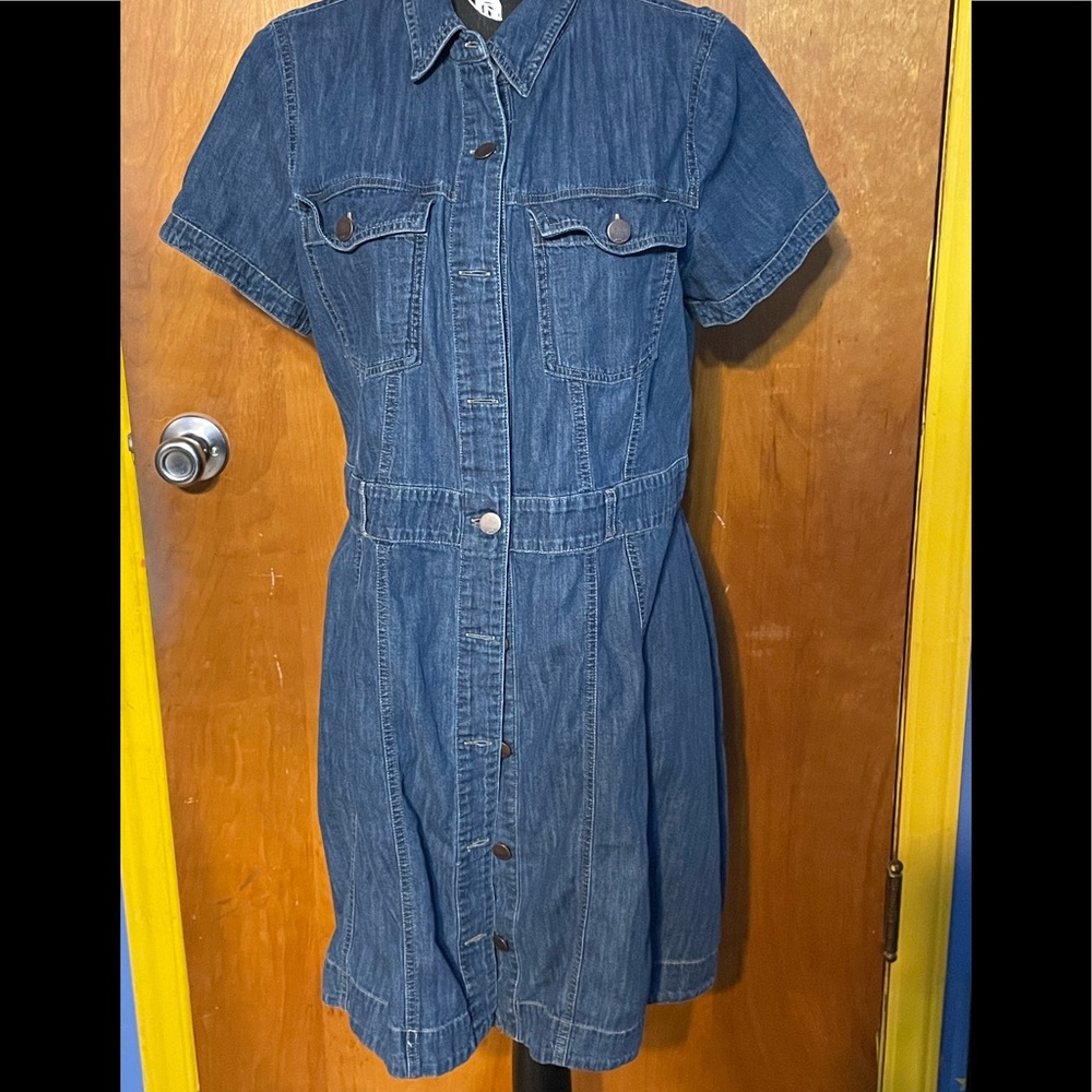 Express Jean Dress